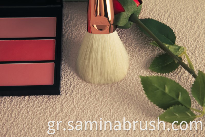 Makeup Brush 3170 01